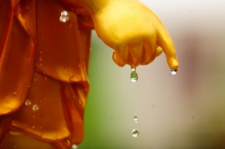 Vì hạnh phúc chư thiên và loài người !