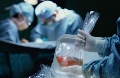 Vì sao Phật tử ít tham gia hiến tạng và xác ?