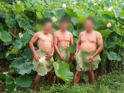 Xin đừng tầm thường hóa hoa sen khi chụp ảnh khỏa thân