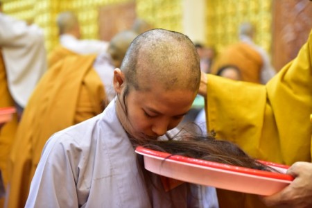 Phong trào xuất gia gieo duyên ngắn hạn, nên hay không nên ?