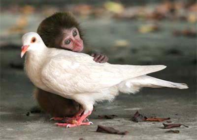 Cho đi cũng chính là nhận lại (4)