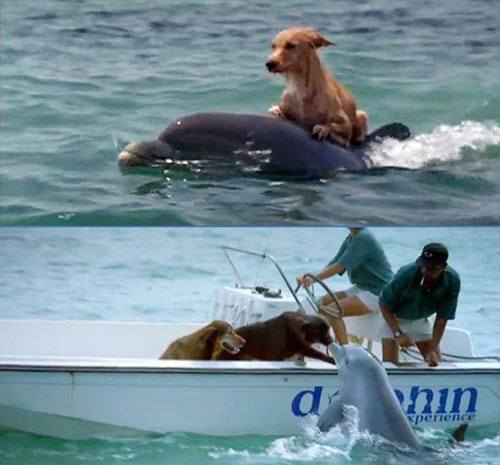 Hãy làm ngay khi có thể