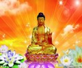 Đức Phật A Di Đà là ai ?