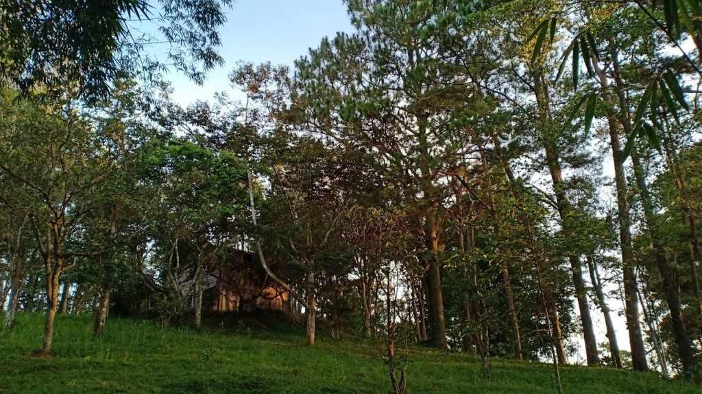 doi-thong-phuong-boi-tu-phuong-boi-am-den-tung-lam-that5.jpg