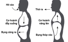 Bài tập thở giúp cơ thể thải độc, khỏe mạnh, dẻo dai chỉ với 30 phút mỗi ngày 