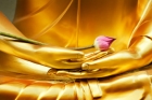 Thiền Định và Thiền Tuệ