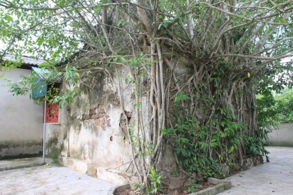 Những ngôi chùa trên địa bàn huyện Thạch Hà, Hà Tĩnh