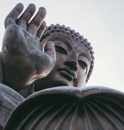 Cây Phật pháp: Lá nhiều, quả ít