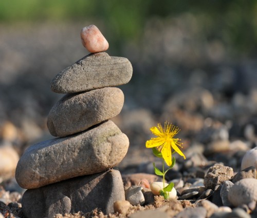 Nhìn sâu hơn nữa vào bản chất của khổ đau