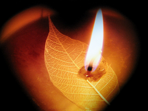 Thông báo: Học bổng Đạo Phật Ngày Nay 2014