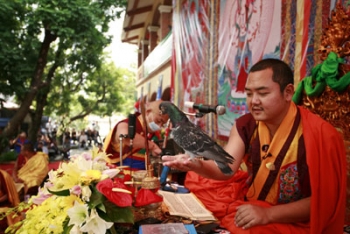 Tăng đoàn Truyền thừa Drukpa đến Việt Nam