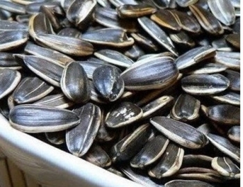 Chọn hạt hướng dương không hóa chất như thế nào?