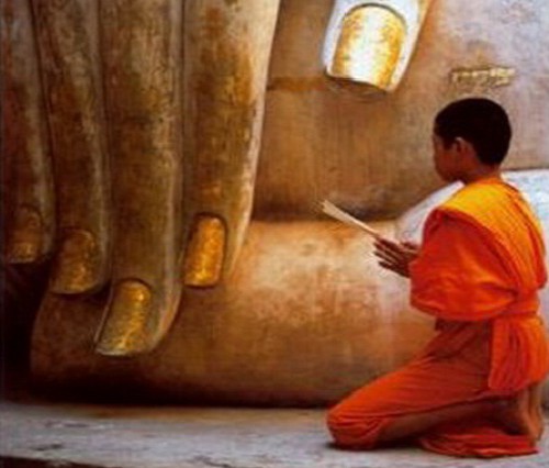 Hỏi & Đáp về Nghiệp và quả của Nghiệp