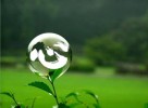 Chân tâm-bản tâm-đạo tâm, vậy tâm này là tâm nào?