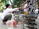 Cận cảnh thủ thuật bẫy lại chim phóng sinh